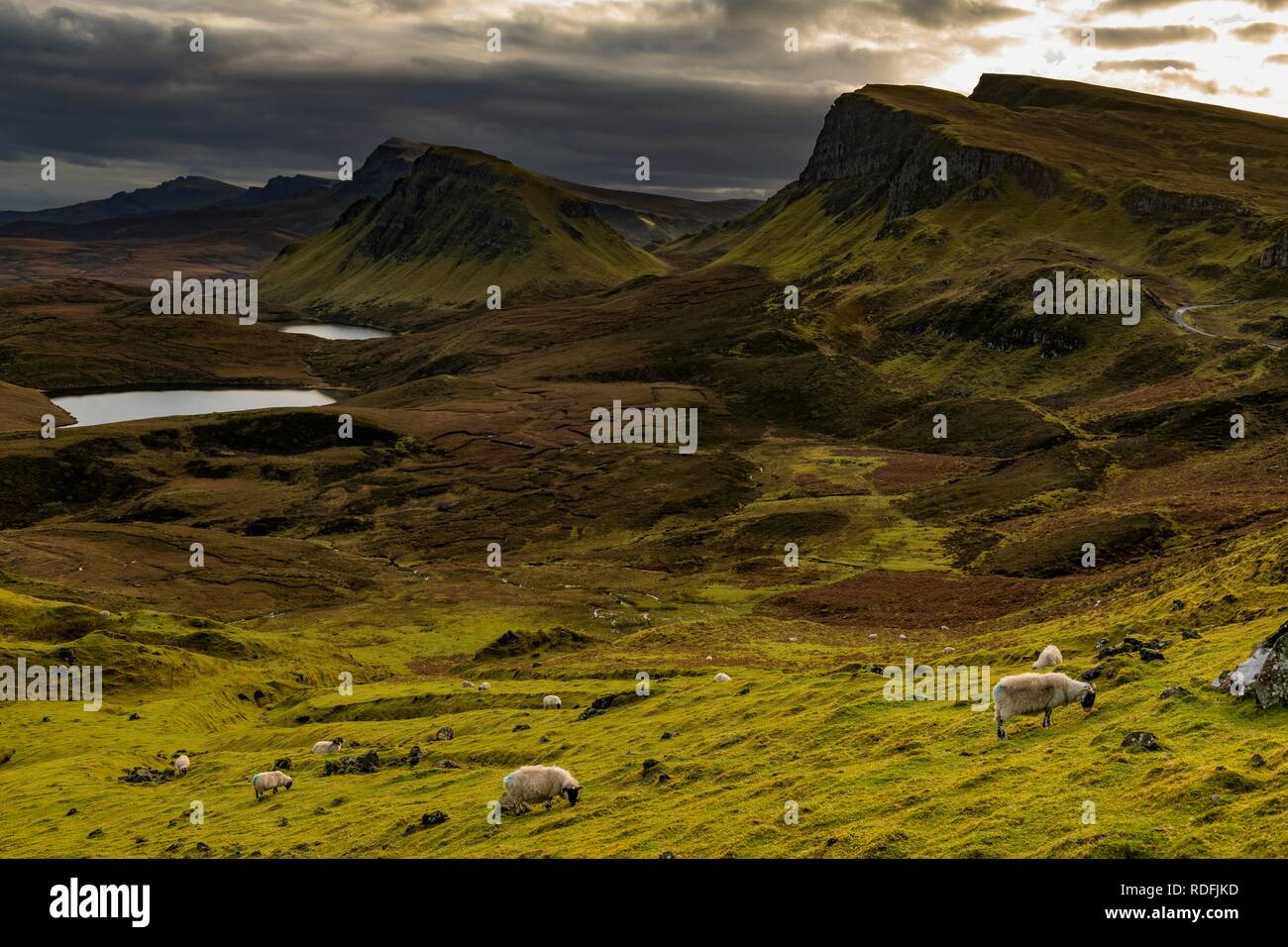 Quiraing massiv mit dramatische Wolken und Schafe in den Vordergrund, Portree, Isle of Sky, Schottland, Vereinigtes Königreich Stockfoto