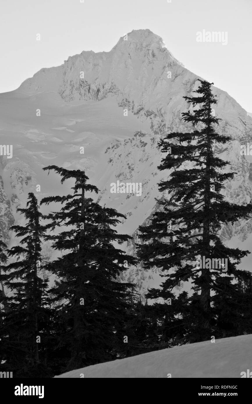 Winter auf 9131 Mt. Shuksan, North Cascades National Park, Washington, Schwarz und Weiß Stockfoto