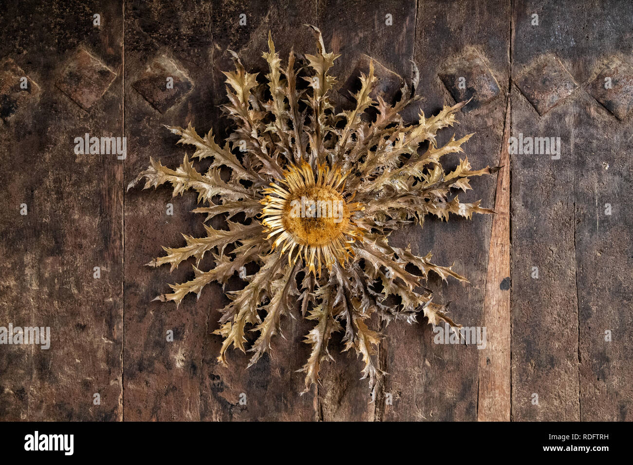 Eguzkilore, traditionelle Dekoration, Schutz für böse Geister Stockfoto