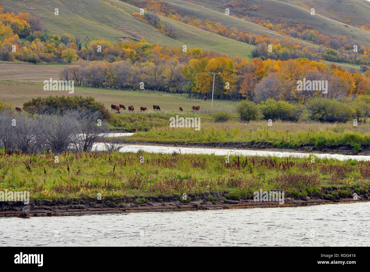 Qu'appelle Fluss, Qu'appelle Tal, Saskatchewan, Kanada Stockfoto