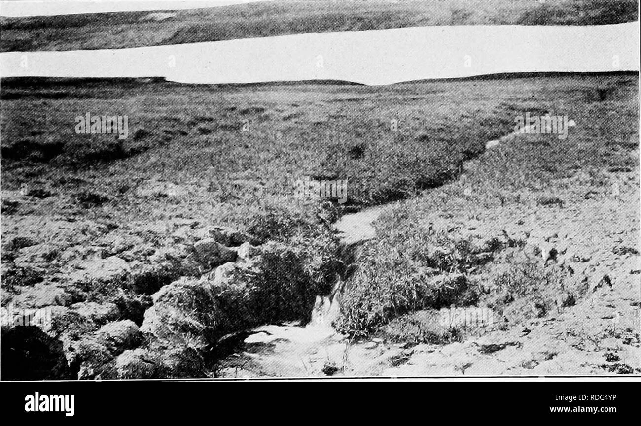 . Bericht der Kanadischen Arktis Expedition 1913-18. Wissenschaftliche Expeditionen. Abb. 1. Schneeschmelze an Bernard Hafen, Northwest Territories. 24. Mai 1915. Hinweis Pools. (Foto von F. Johansen.). Abb. 2. Bach gespeist durch Schmelzen - snowba. nk. Bernard Hafen, Northwest Territories. Juli 12, 1915. (Foto von F. Johansen.). Bitte beachten Sie, dass diese Bilder sind von der gescannten Seite Bilder, die digital für die Lesbarkeit verbessert haben mögen - Färbung und Aussehen dieser Abbildungen können nicht perfekt dem Original ähneln. extrahiert. Kanadische Arktis Expedition (1913-1918). Ottawa, F.A. Acland, Drucken Stockfoto