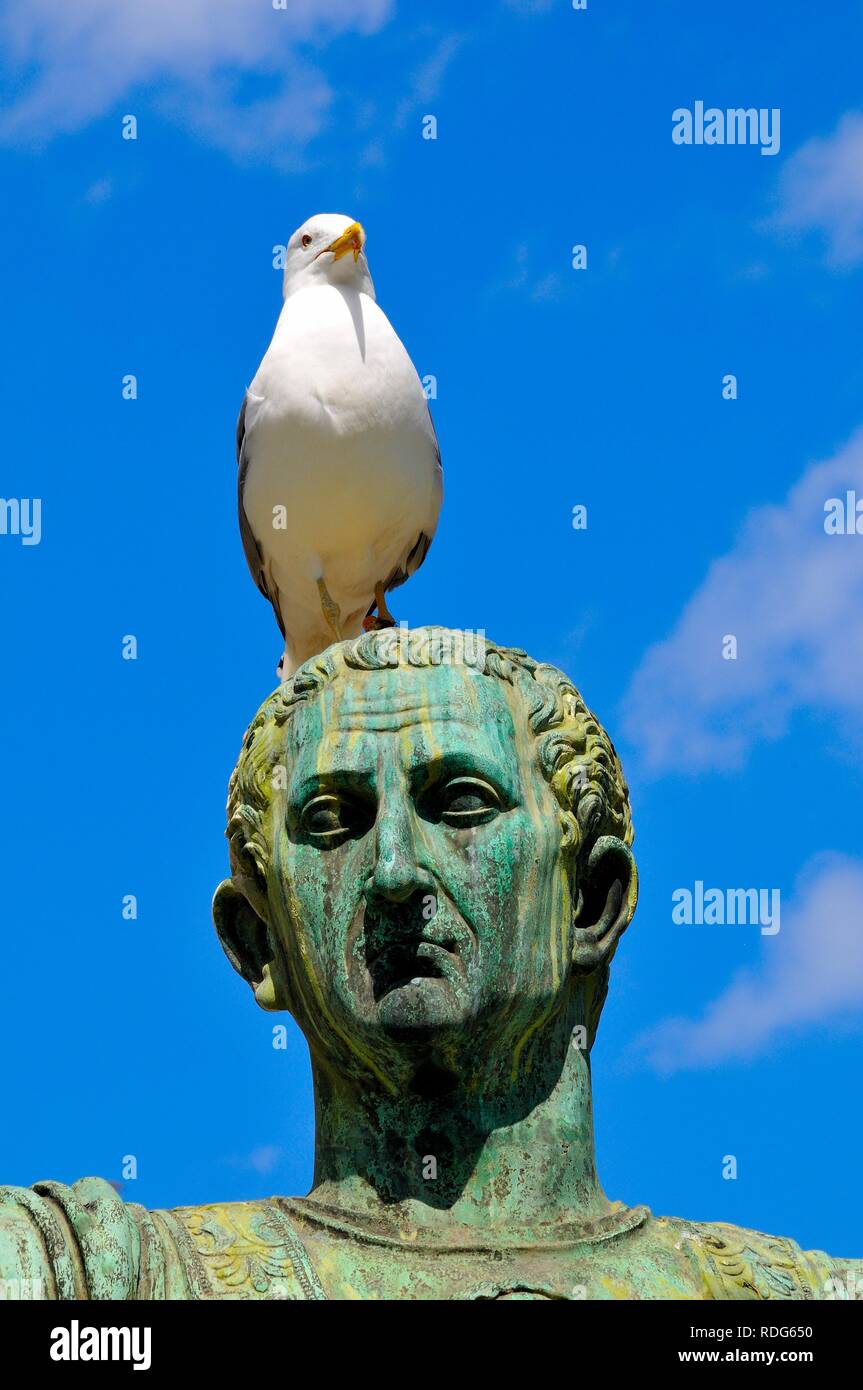 Da ist ein Vogel auf meinem Kopf Rom Italien Stockfoto
