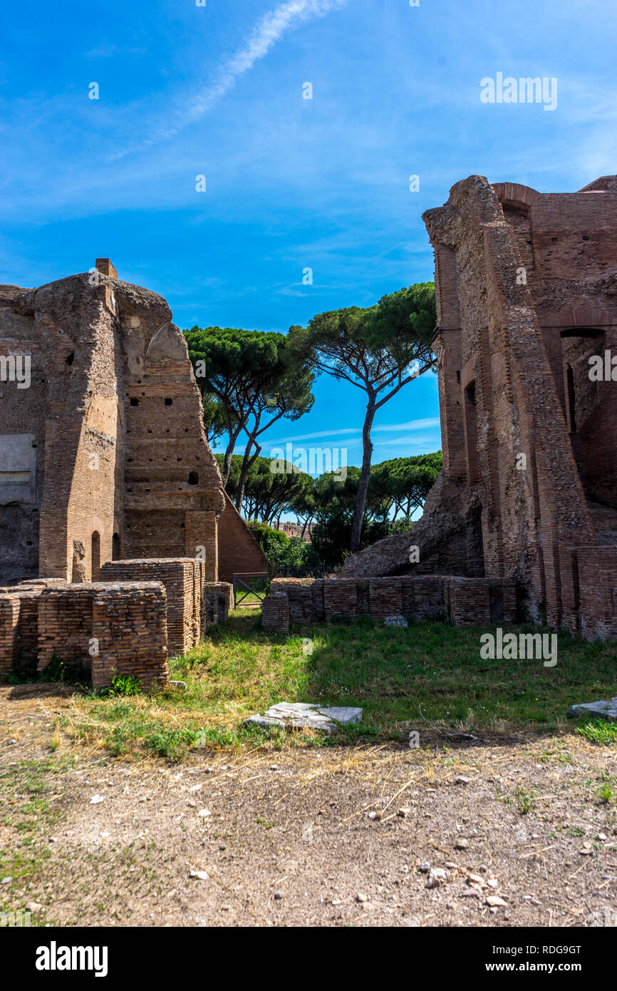Die antiken Ruinen des Forum Romanum, Palatin in Rom Stockfoto