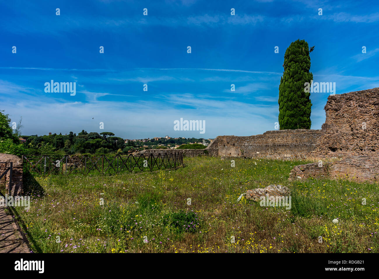 Europa, Italien, Rom, Forum Romanum, eine große grüne Wiese mit Bäumen im Hintergrund Stockfoto