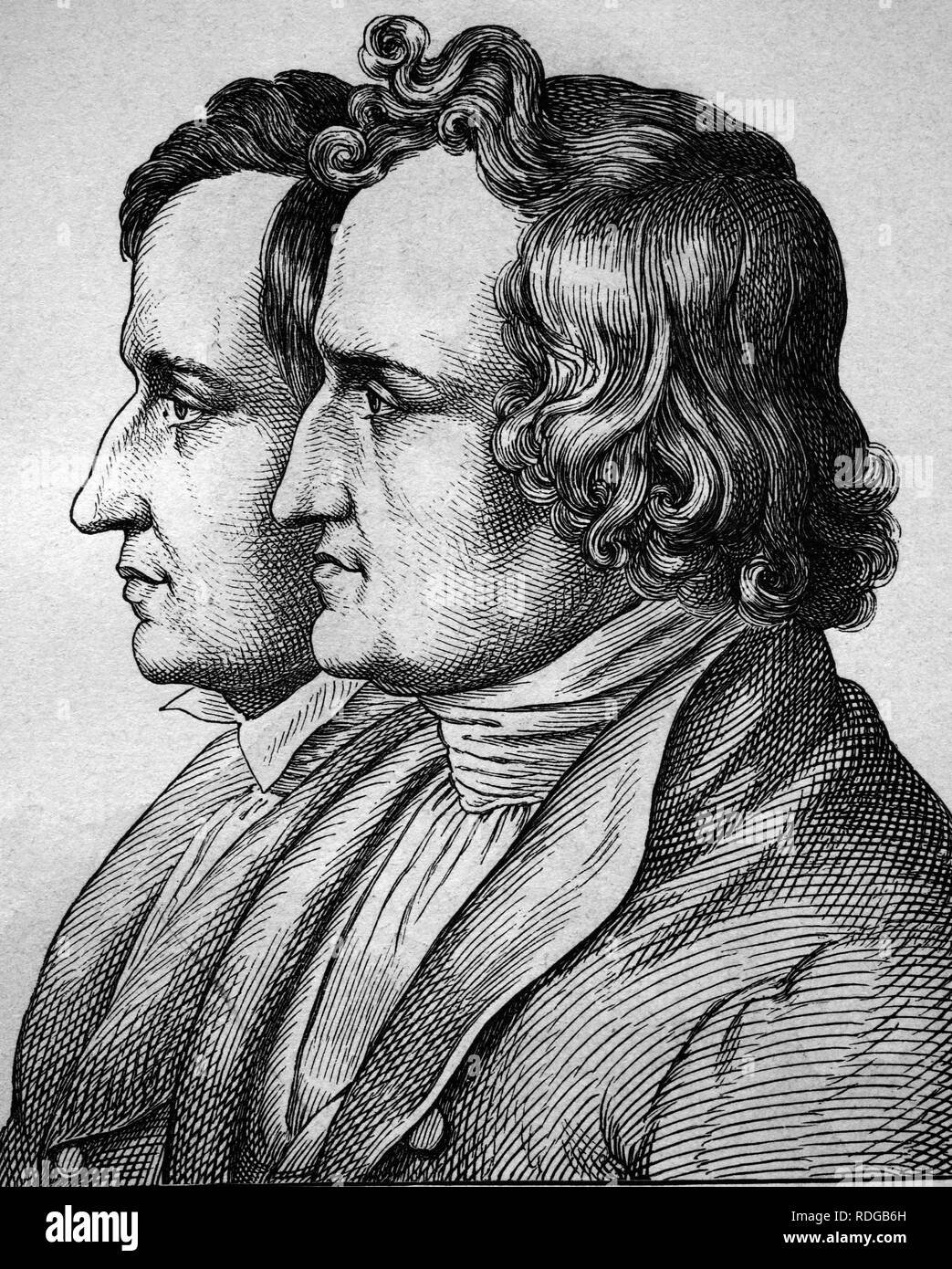 Jacob und Wilhelm Grimm, Brüder Grimm, 1785-1863, Porträt, historische Darstellung, 1880 Stockfoto