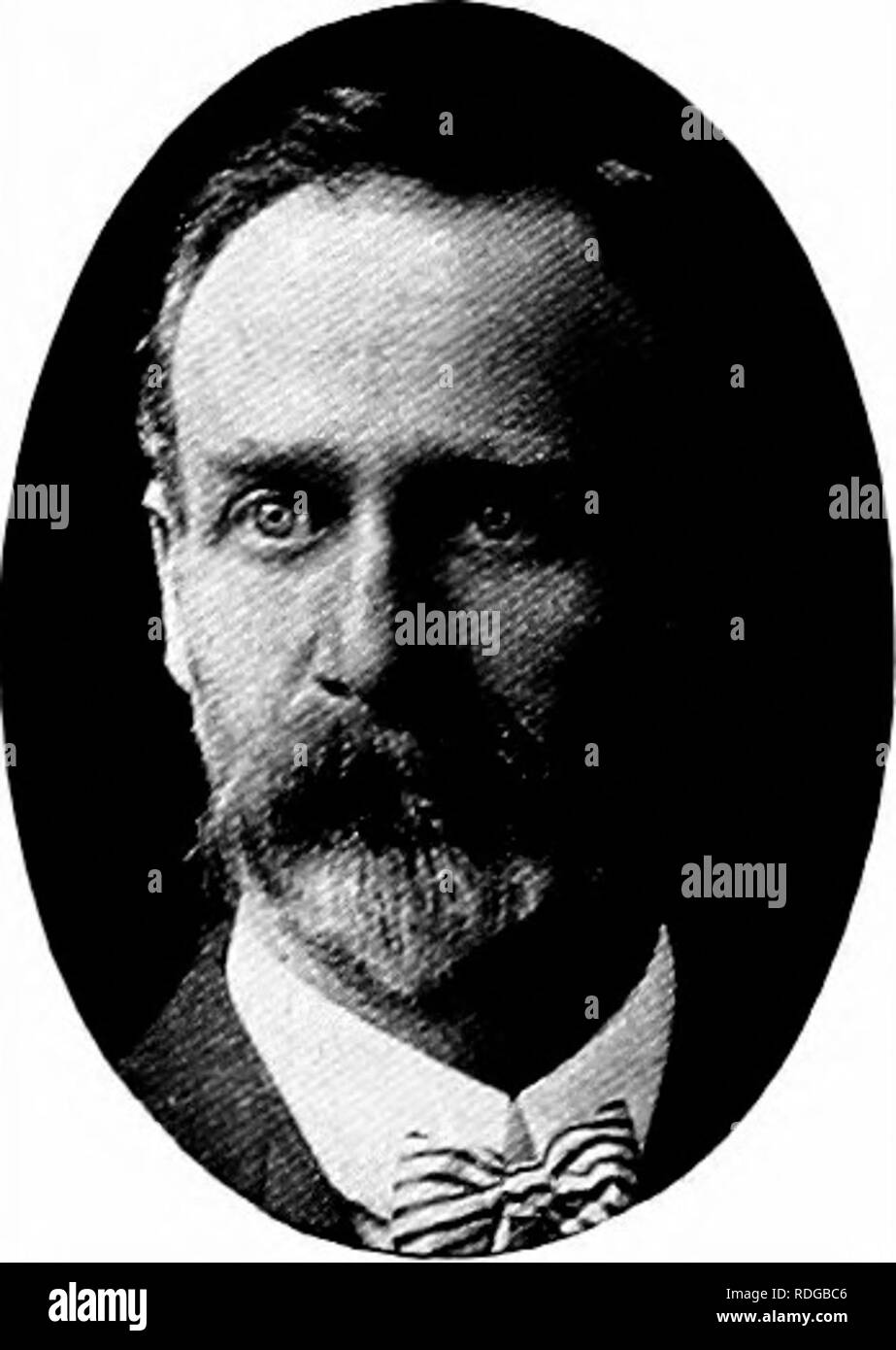 . Das Gemüse im Staat New York... Gemüse; Gartenarbeit. Wachsende FRÜHEN PFLANZEN E.H. Hallett, St. Johnsbuey Centee, Vt. Eine erfolgreiche Ernte aus dem Garten de - hängt im Wesentlichen von den Pflanzen, die wir verwenden. ilany verlieren aus den Augen und verwenden, ist eine Pflanze, die, unabhängig von ihrer Vitalität und die Fähigkeit zu produzieren. Betrachten wir zunächst, dass Pflanzen- und ani-mals sind praktisch dieselben - beide haben zu Essen, Trinken und Atmen - daher es-sentially sie in etwa in der gleichen Weise bearbeitet werden sollten. Der milchmann von heute, wenn er will, eine Kuh, eine große pro-ducer zu heben, muß beginnen, sobald ein Stockfoto