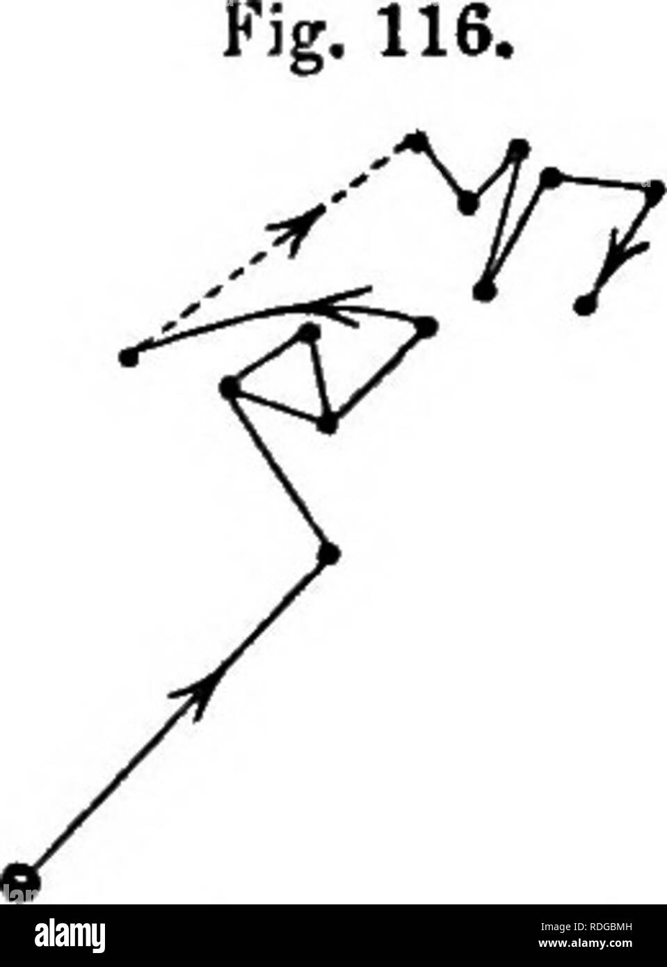 . Die Kraft der Bewegung in Pflanzen. Pflanzen, Botanik. A. B. Canna Warscewiczii; circumnutation des Blattes, verfolgt (A) vom 11.30 i.M Jnne 10. bis 18.40 Uhr 11.; und (B) von 6.40 Uhr bis 8.40 Uhr 11 12 TB. Apex von Blatt 9 Zoll von der Tertical Glas. (28.) Iris pseudo-acorus (Iridese, Fam. 10). - Die Bewegungen eines jungen Blatt, 13 cm über dem Wasser, in dem die Pflanze wuchs, verfolgt wurden, wie in der Abbildung gezeigt (Abb. steigt. 116), 27 Uhr. 30 m. Es offenkundig circumnutated, allerdings nur zu einem kleinen Teil. Am zweiten Morgen zwischen 6.40 Uhr und 2 Uhr (in der letzten Stunde der Abbildung hier Stockfoto