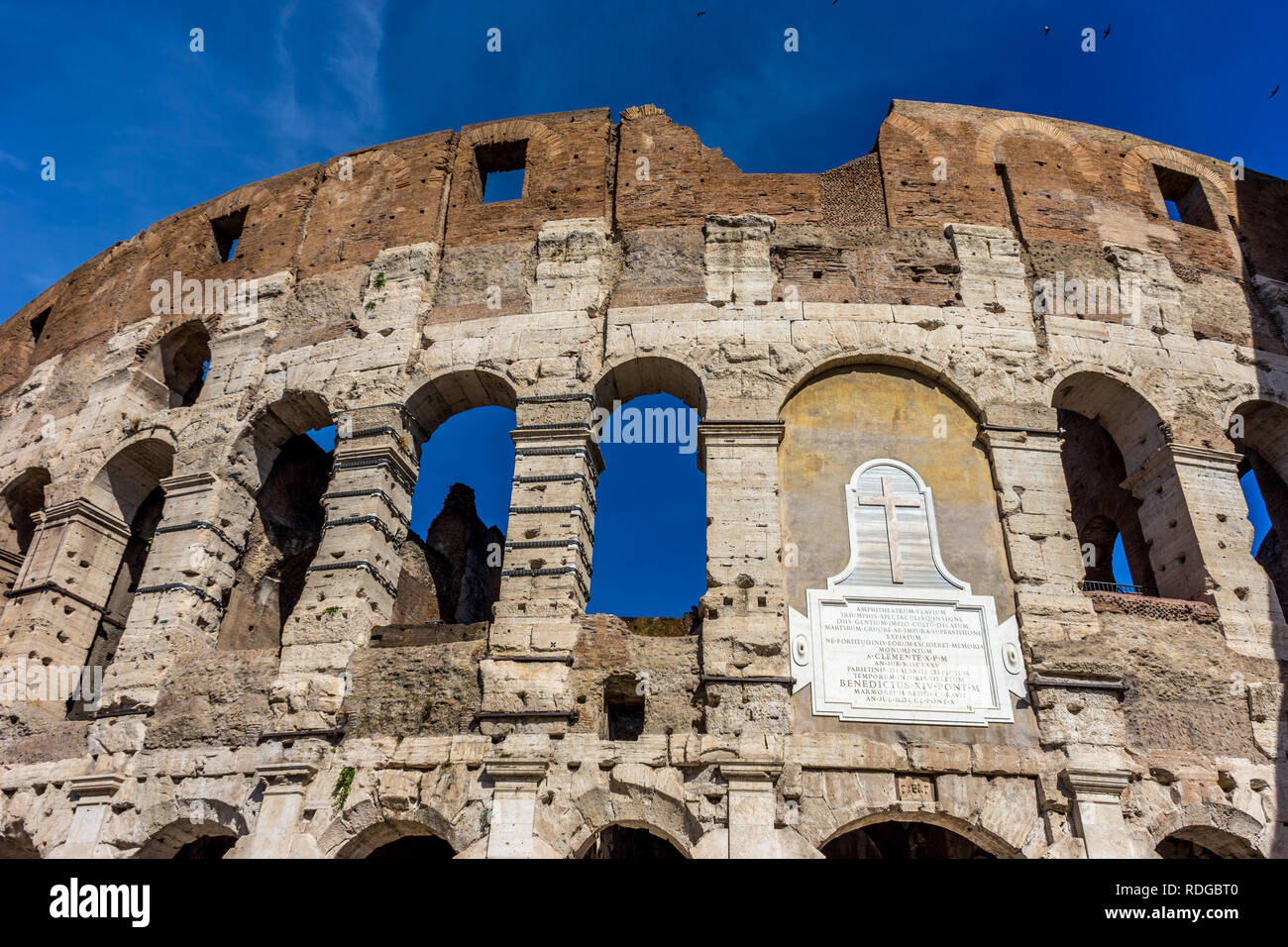 Fassade des Großen Römischen Kolosseum (Kolosseum, Colosseo), auch als dem flavischen Amphitheater bekannt. Berühmte Sehenswürdigkeiten Stockfoto
