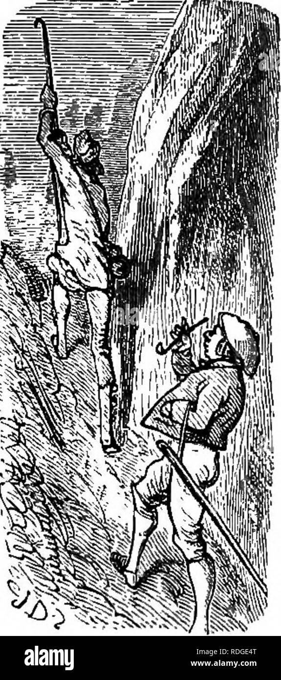 . Alpenblumen für englische Gärten. Berg pflanzen. 9° ALPINE BLUMEN. Teil I. ous-Suchen aus fast senkrecht ansteigenden Hügeln von losen Stein. Derzeit ein wenig rauhe verwitterte Holzkreuz wurde neben dem Fußweg weitergegeben. "Warum ein Kreuz hier?", sagte ich zu den Guide. "Das große Stein oder Felsen sehen, getötet, in seinem Weg nach unten, ein Mann mit seinen Marketings aus dem Tal", antwortet er. Arme Kerl! Er muss sich gebildet haben, sondern ein kleines Hindernis, dass schwerfällige Masse - hart wie Eisen und groß wie ein kleines Haus, fiel von seinem Bett mit so ungestüm, dass es Le Stockfoto