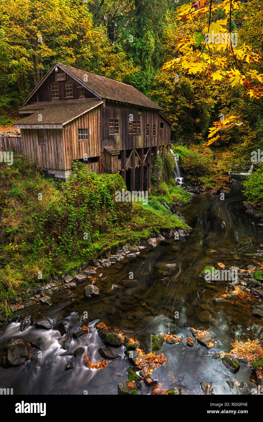 Blätter ändern Farben und die Lachse stromaufwärts laufen, was bedeutet, dass es Herbst im Cedar Schrotmühle im Staat Washington ist. Stockfoto
