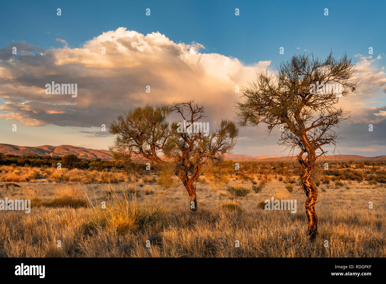 Abendstimmung in der MacDonnell Ranges. Stockfoto