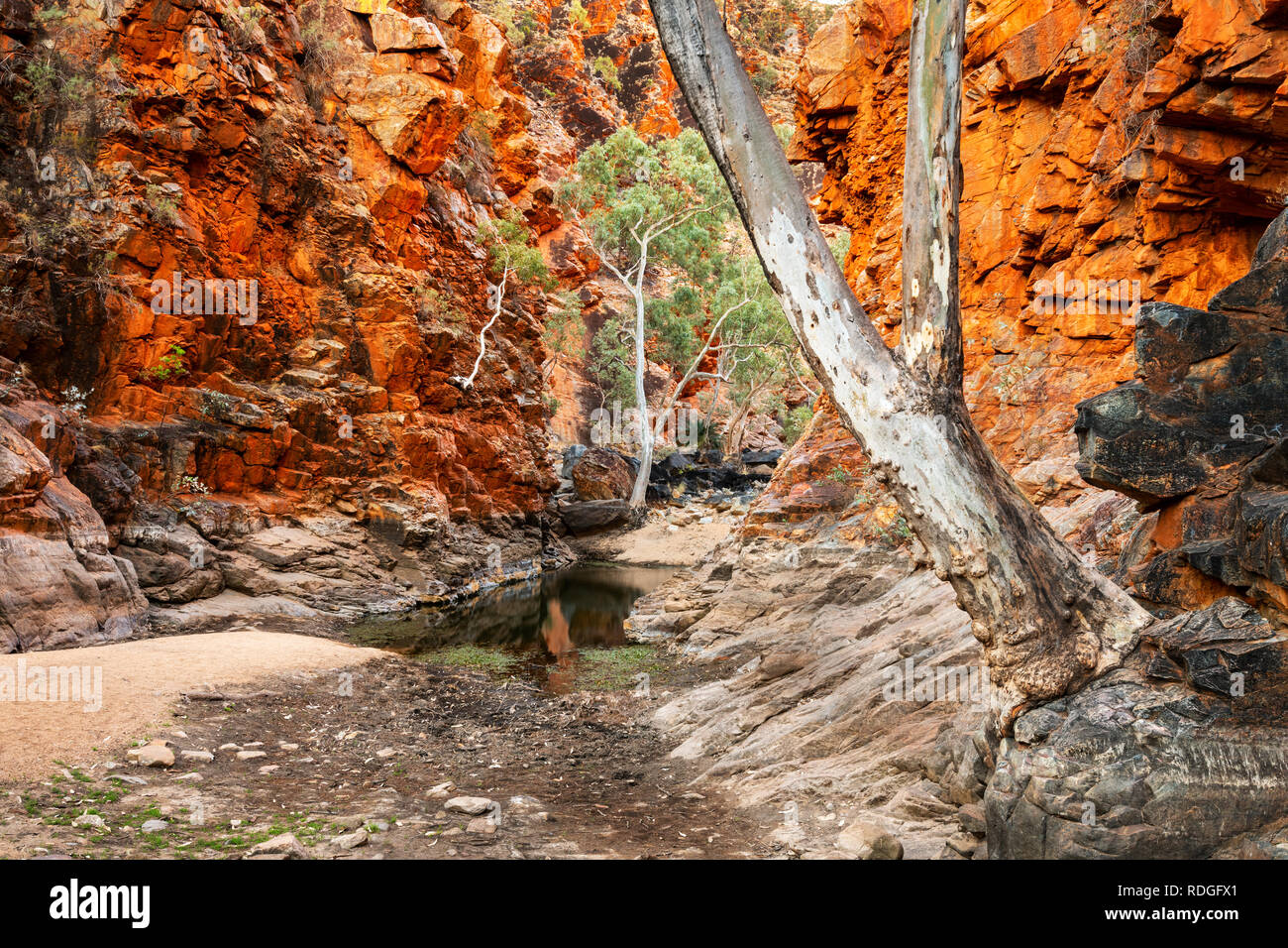 Malerische Serpentine Gorge in MacDonnell Ranges. Stockfoto