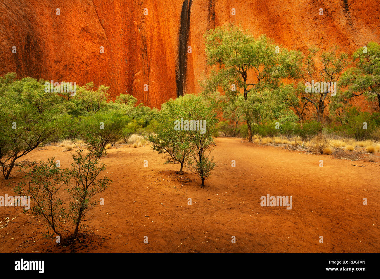 Kantju Gorge ist auf der westlichen Seite der berühmten Uluru. Stockfoto