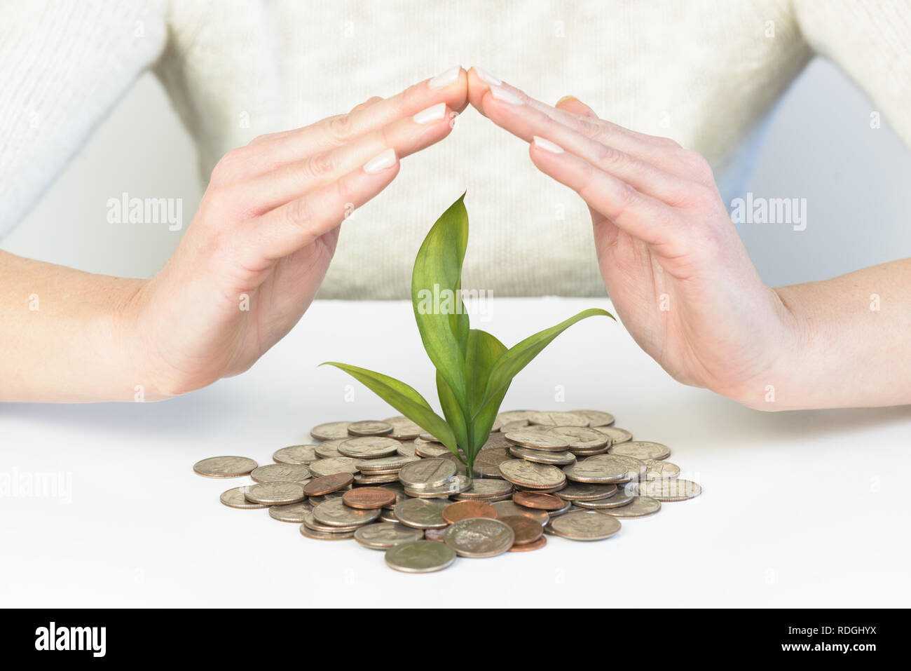 Frau Hände schutz Konzept der Geld Pflanze, die aus dem Geld Stockfoto