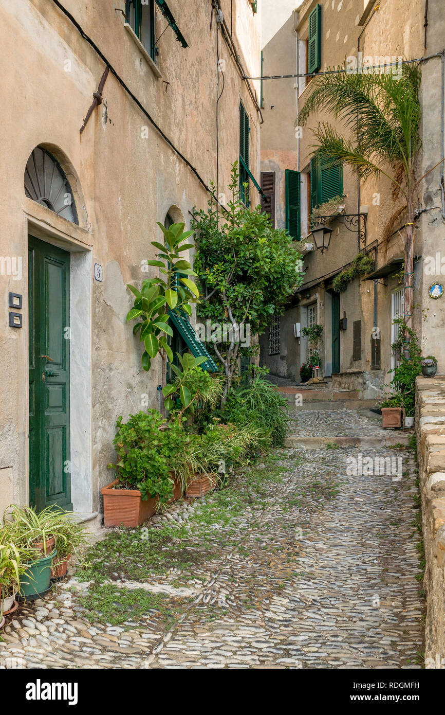 Gasse in der Altstadt von Cervo, Riviera di Ponente, Ligurien, Italien Stockfoto