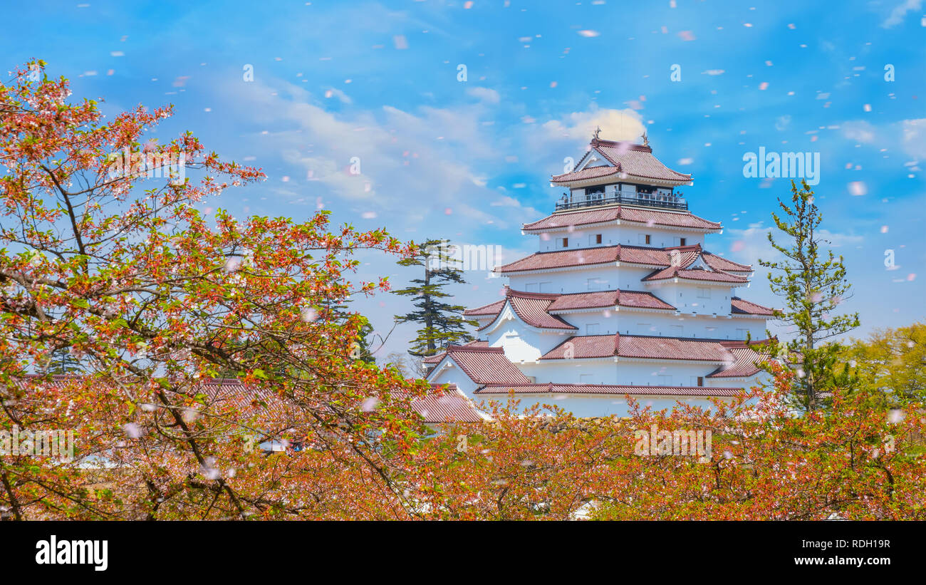 Aizuwakamatsu Schloss und Kirschblüte in Fukushima, Japan Aizuwakamatsu, Japan - 21 April 2018: aizu-wakamatsu Schloss und Kirschblüte gebaut von einem Stockfoto