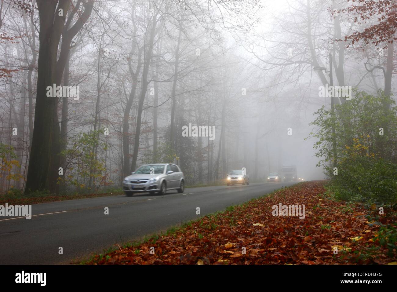 Autobahn im dichten Nebel, Herbst, Sichtweiten unter 100 Meter, Essen, Nordrhein-Westfalen Stockfoto