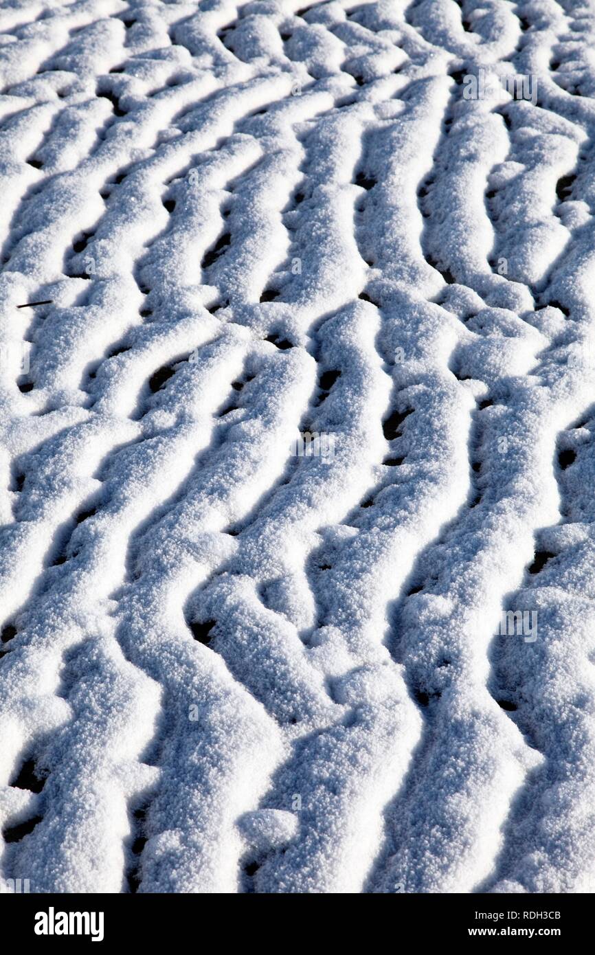 Winter auf dem Wattenmeer, Nordsee, winterliche