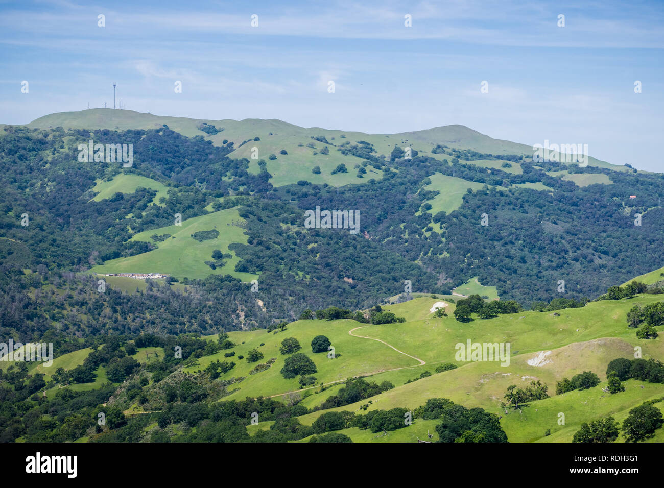 Blick Richtung Mission Peak, Sunol regionale Wildnis, San Francisco Bay Area, Kalifornien Stockfoto