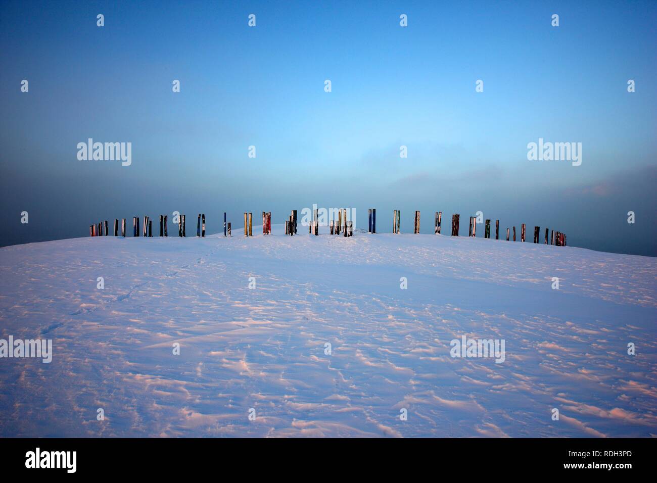 Sehenswürdigkeiten Kunst installation, Totems, aus Eisenbahnschwellen erstellt, die von der baskischen Malers und Bildhauers Agustín Ibarrola, im Winter Stockfoto