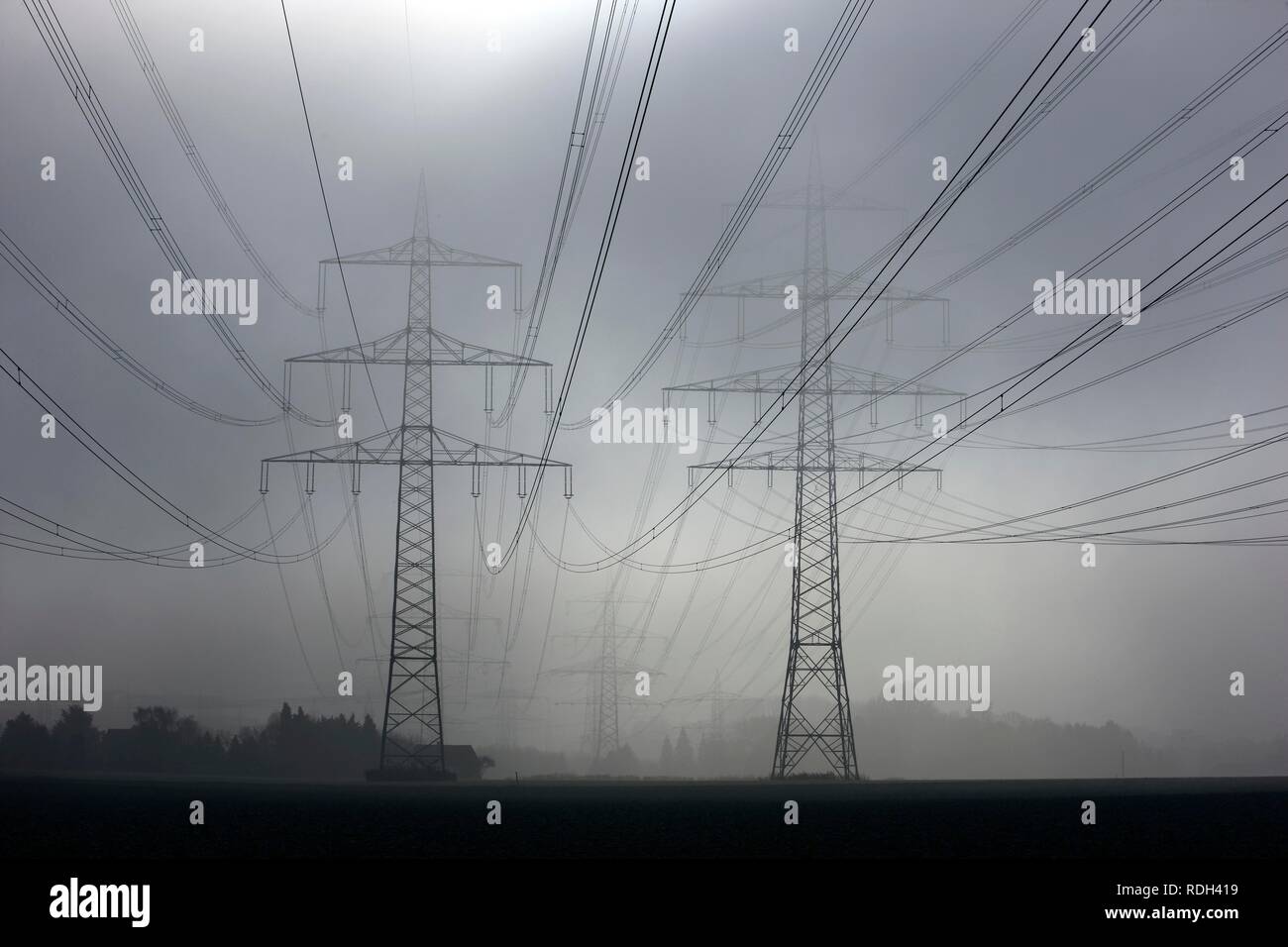 Elektrizität Masten und Stromleitungen im Herbst Nebel, Gelsenkirchen, Nordrhein-Westfalen Stockfoto