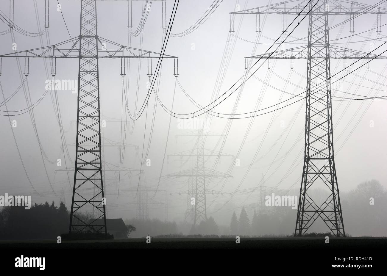 Elektrizität Masten und Stromleitungen im Herbst Nebel, Gelsenkirchen, Nordrhein-Westfalen Stockfoto
