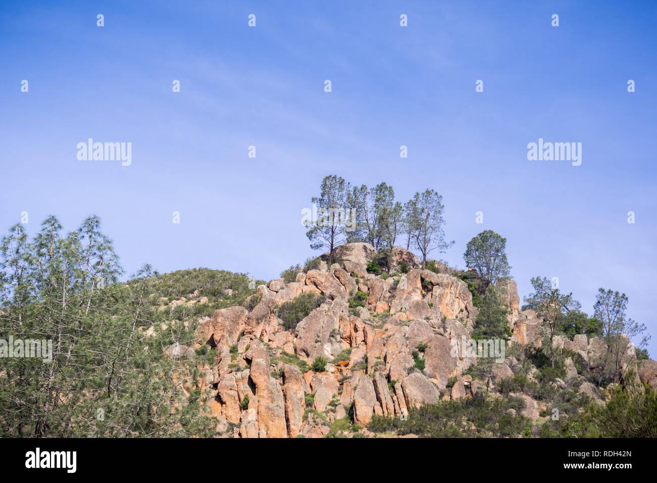 Pine Tree wächst an Rock Felsblöcke, Pinnacles National Park, Kalifornien Stockfoto