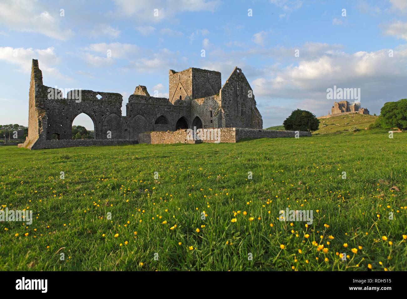 Hore Abbey und Rock Of Cashel, Cashel, County Tipperary, Irland, Europa Stockfoto