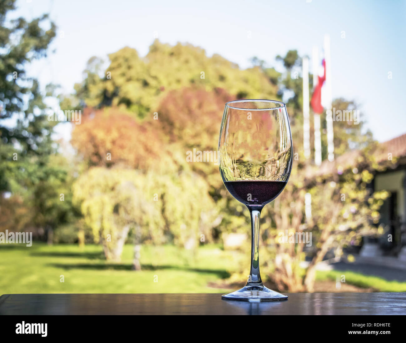 Glas Wein in einer chilenischen Weingut - Santiago, Chile Stockfoto