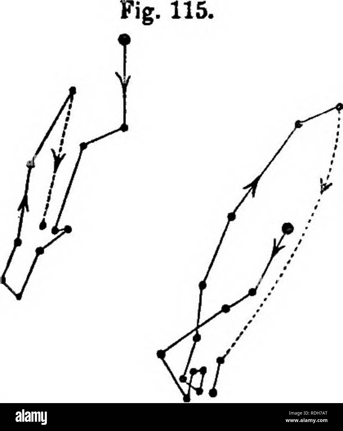 . Die Kraft der Bewegung in Pflanzen. Pflanzen, Botanik. 1, 'HAP. Iv. MONOCOTYLEDONS. 25 s Teil der Nacht. Am Abend des 11. Es im kleinen Maßstab für einige Zeit, an der gleichen Stelle circumnutated.. A. B. Canna Warscewiczii; circumnutation des Blattes, verfolgt (A) vom 11.30 i.M Jnne 10. bis 18.40 Uhr 11.; und (B) von 6.40 Uhr bis 8.40 Uhr 11 12 TB. Apex von Blatt 9 Zoll von der Tertical Glas. (28.) Iris pseudo-acorus (Iridese, Fam. 10). - Die Bewegungen eines jungen Blatt, 13 cm über dem Wasser, in dem die Pflanze wuchs, verfolgt wurden, wie in der Abbildung gezeigt (Abb. steigt. 116), 27 Uhr. 30 m. Ich Stockfoto