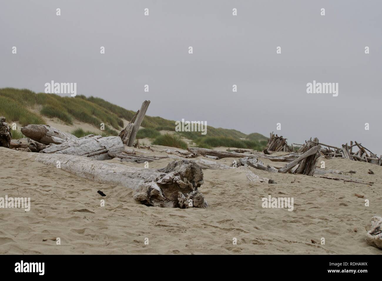 Sandy beach Stockfoto
