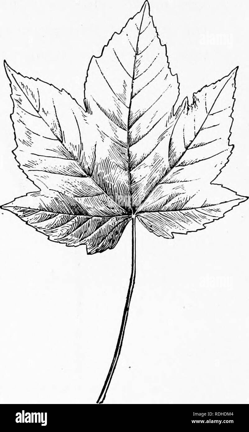 Feine Holzbearbeitung Stockfotos Feine Holzbearbeitung Bilder Alamy