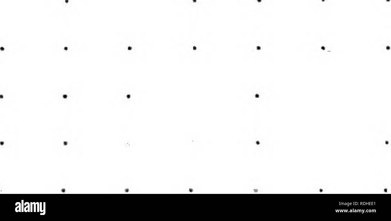 . Zambezia: Eine allgemeine Beschreibung des Tal des Sambesi, aus dem Delta des Flusses Aroangwa, mit seiner Geschichte, Landwirtschaft, Flora, Fauna, und Ethnographie. Natural History; Ethnologie. xiv Illustrationen der Luenya Fluss der Barue. Einige typische Granitformationen ein Baobab mit Blick op Sambesi Hyphoene Palmen. Ein Reisfeld einige Schädlinge Schwarze Nashorn Nilpferd der Afrikanischen Bcffalo.... Ein Eland...... Junge männliche Zobel einen guten Rechts und Links: Die Afrikanische Leopard eine typische "Banyan" Zambezian Goldschmiede - illustrieren Hütten auf Pfählen bauen das Dach einer Hütte gebaut Stockfoto