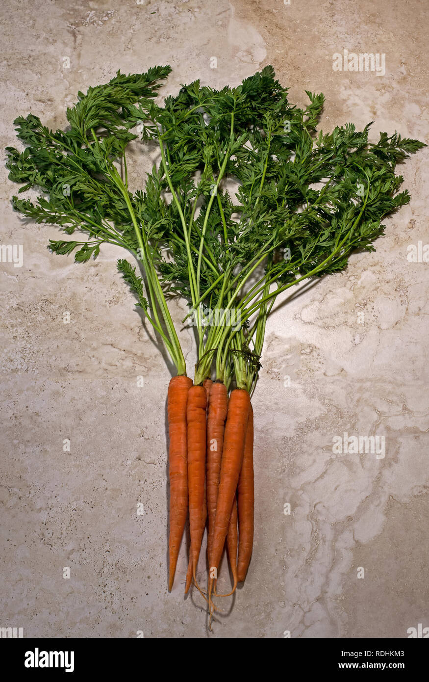 Frische Bio Karotten mit Tops mit einer leichten Erwärmung filter angebrachten ruht auf einer Fliese Zähler nach oben. Stockfoto