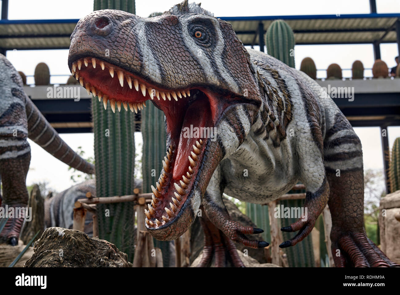 Dinosaurier Tyrannosaurus Rex Stockfoto