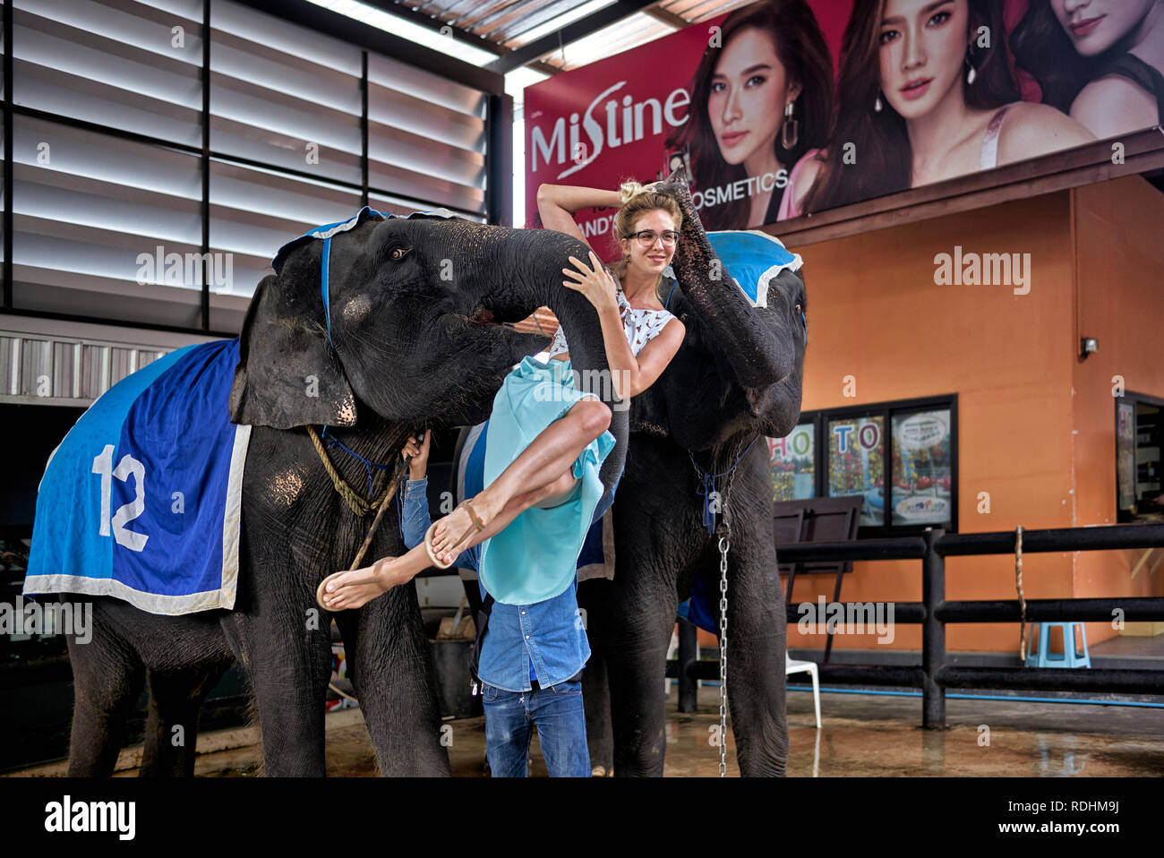 Thailand Tourist und Elefant.. Frau posiert mit Elefanten Stockfoto