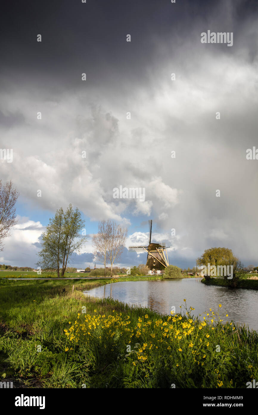 Windmühle in der Nähe von kleinen Fluss namens Het Gein. Driemond, Niederlande. Stockfoto