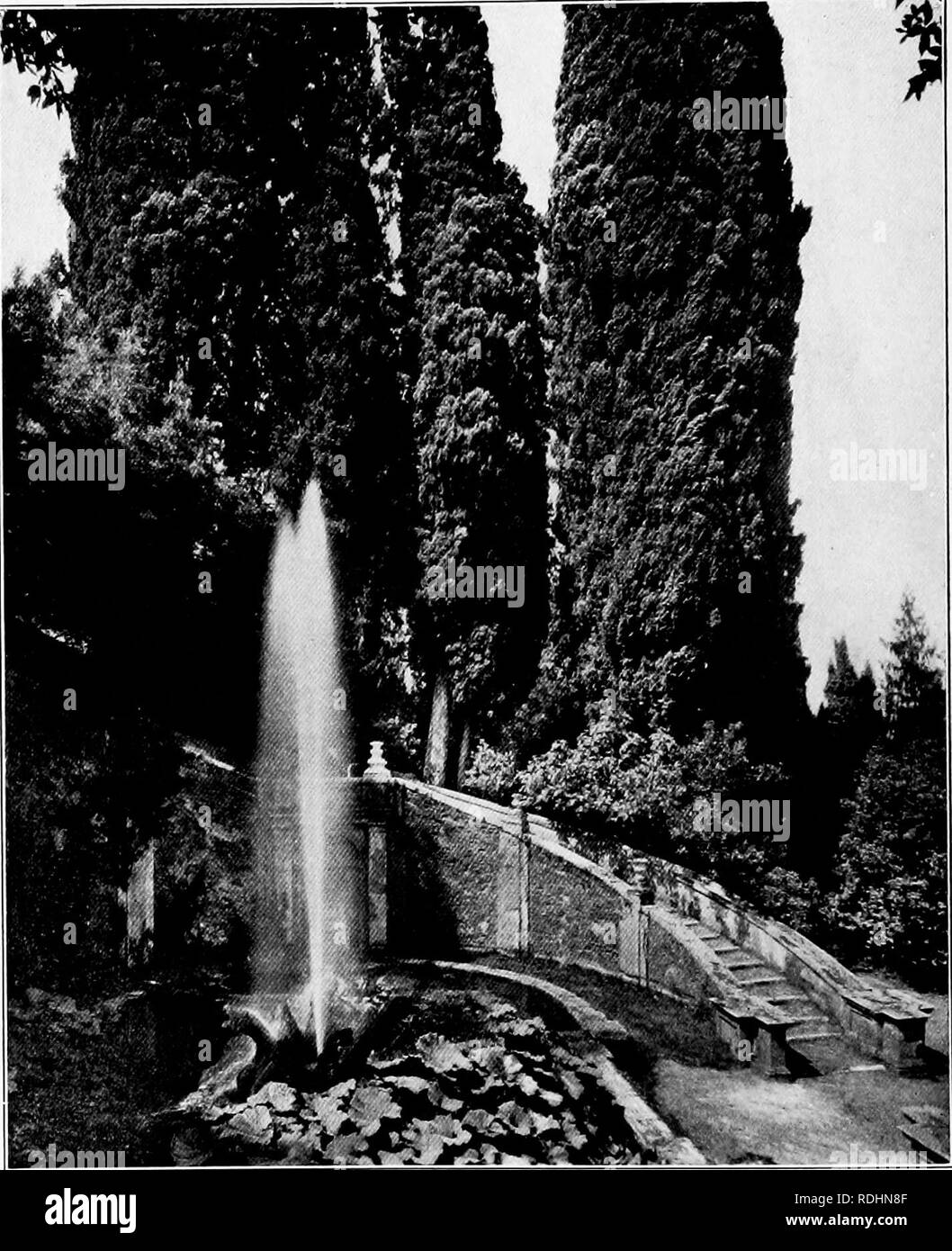 . Design im Gartenbau. Gartenbau. PlGURE PhotOBiaph von Anderson 54. - IITECTURAI ARCl. Übergewicht, Villa d'Este TIVOLI ITALIEN. Bitte beachten Sie, dass diese Bilder sind von der gescannten Seite Bilder, die digital für die Lesbarkeit verbessert haben mögen - Färbung und Aussehen dieser Abbildungen können nicht perfekt dem Original ähneln. extrahiert. Root, Ralph Rodney; Kelley, Charles Hayes, b. 1885. New York, das Century Co. Stockfoto
