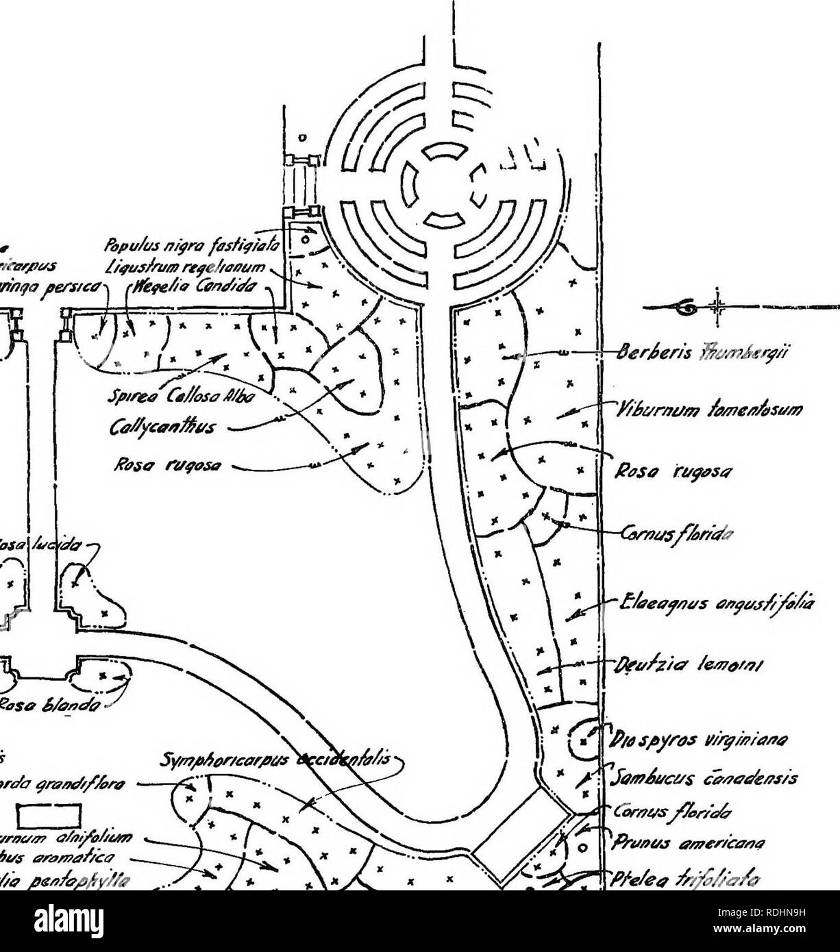 . Design im Gartenbau. Gartenbau. r fosfifia Papu/us/a • mrrfiia II^ s/nia Nfe//aiium mifo Berstca -^r/Rete/ia Cena/ifa^r --"-"^^ (• nC-!*^^^^^^ ^-^ Nigra. Spi/ta Ct//OSA/l/ie/? Asa rtffose Aus fte/t/ff^ fiy // Ein^^ CamusyjSsn mrf' e &Amp; r/yKo fivaia Amen" cana EINES SUBURBAN EKSIDBNCE. Bitte beachten Sie, dass diese Bilder sind von der gescannten Seite Bilder, die digital für die Lesbarkeit verbessert haben mögen - Färbung und Aussehen dieser Abbildungen können nicht perfekt dem Original ähneln. extrahiert. Root, Ralph Rodney; Kelley, Charles Hayes, b. 1885. New York, dem Jahrhundert C Stockfoto