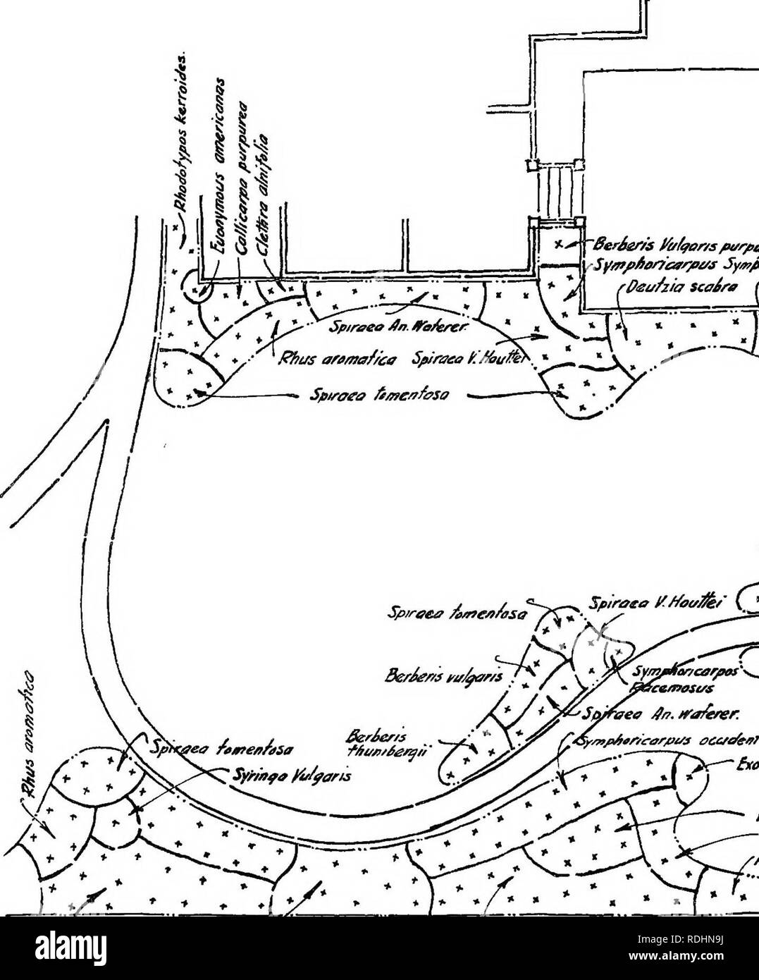 . Design im Gartenbau. Gartenbau. Sfr/nfa pertice (Fe/syTltia/n^Trme^ia^ Spirveo prun/^/" Abbildung 43. PLAN FEIND DER DEVE]. Bitte beachten Sie, dass diese Bilder sind von der gescannten Seite Bilder, die digital für die Lesbarkeit verbessert haben mögen - Färbung und Aussehen dieser Abbildungen können nicht perfekt dem Original ähneln. extrahiert. Root, Ralph Rodney; Kelley, Charles Hayes, b. 1885. New York, das Century Co. Stockfoto