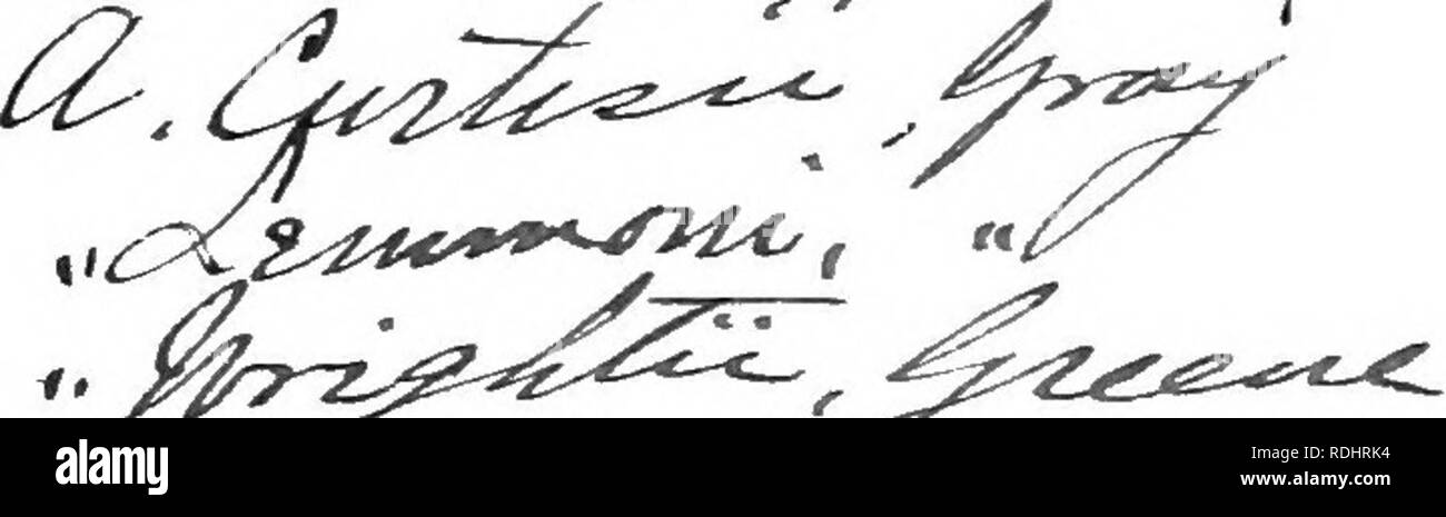 . Synoptische Flora von Nordamerika. Botanik; Gamopetalae. Asdepias. ASCLEPIADACEiE. 97 cm lang, 2 bis 6 Zeilen breit); Dolden corymbose, dicht viele Blüten, auf Stiel länger als die Stiele; Blumen grünlich-weiß, manchmal mit Lila: Corolla getönt - Lappen länglich, 2 Zeilen lang: Hauben breit eiförmig, ganze, kürzer als die Antheren, durch die STOUT überschritten - subulate incurved Horn. Â Cav. Ic. Ich. 42, t. 58; Grau, Proc. Standort. Acad.xii. 71. A./ascicularis, Decaisne in DC. Prodr. viii. 46.1; Grau, Bot. Calif, ich. 475. 1. mui-rophi/lh, Nutt. PI. Gamb. 180. Â trockenen oder feuchten Boden, Oregon und Stockfoto