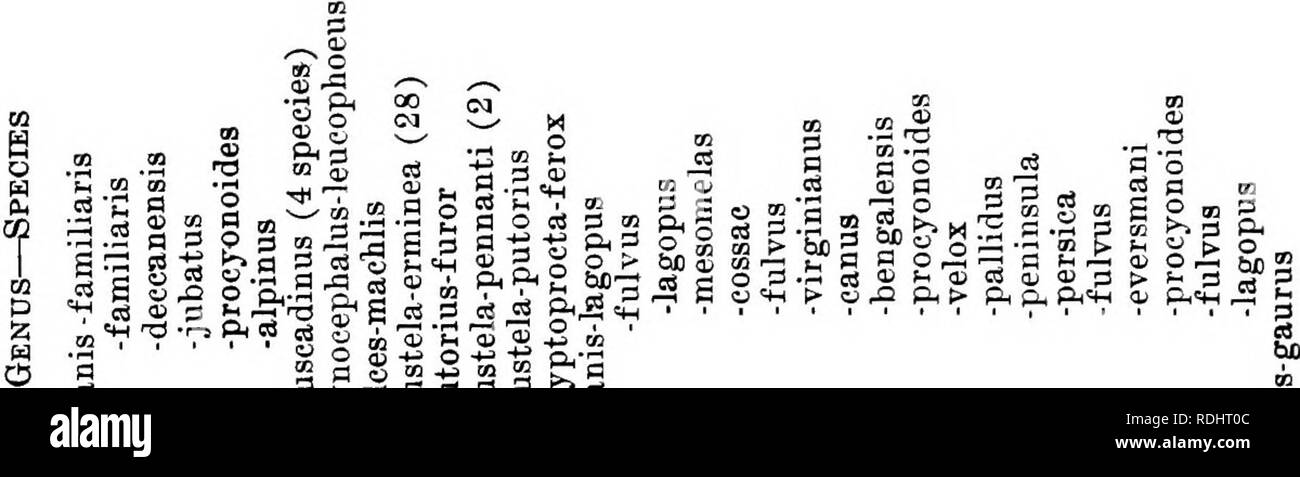 . Die pelzhändler und Fell der Tiere. Pelzhandel; Pelztiere. Alphabetische Liste op-Arten. 10 a.Vj,, I I 1 i, X oa w"&gt; ** s â * -'" 6 l^^^a isill ffl: 5.? , S S sloS&gt;d Â" c 8 m 5 2 2 g rnivo rnivo o C P3ca BPLiPO OO Â" g ce-Ca:-: rS | g -: s g-------' | (3 BpLiPO OO P R^2 i, s OS^ CgX ( Cd COS'i'l-kranke Meere s^. s^â^ig^&amp;' | G | | | "s^2 otiS 5 na&gt;.". i; Â°o S. Bitte beachten Sie, dass diese Bilder aus gescannten Seite Bilder, die digital für die Lesbarkeit verbessert haben mögen - Färbung und Aussehen dieser Abbildungen können nicht Perfekt extrahiert werden Stockfoto