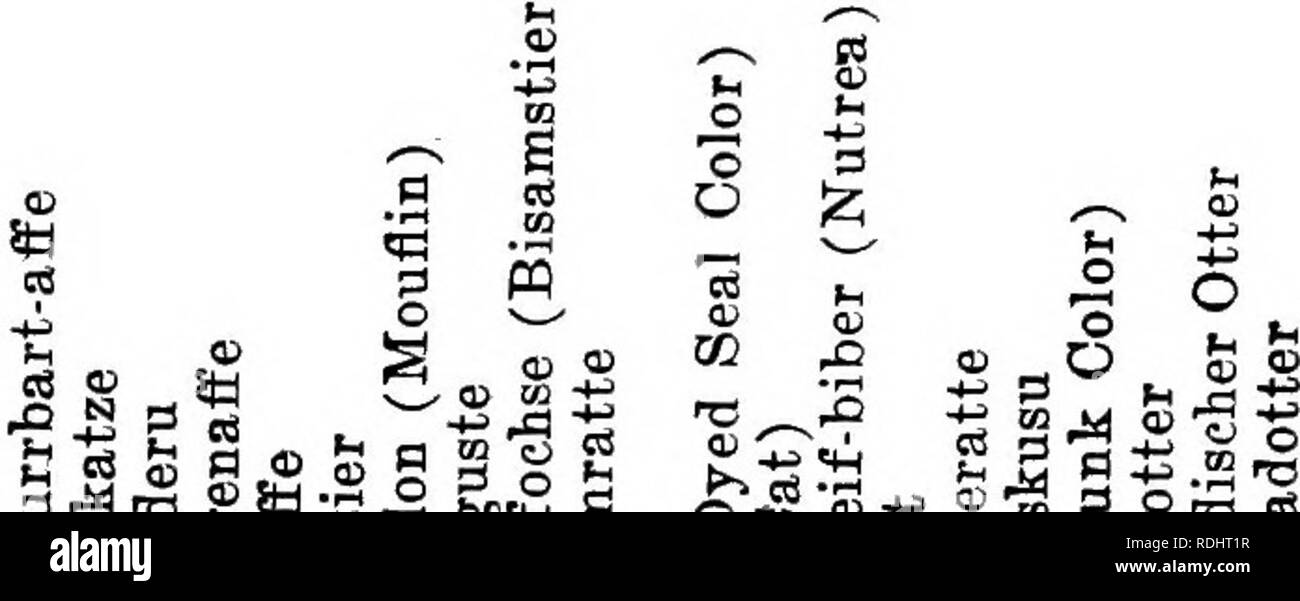 . Die pelzhändler und Fell der Tiere. Pelzhandel; Pelztiere. Pelzhändler Lexikon. 81 S o3 ein. 2r - "aSo o o o o o o o/a o o = 3 ft C S3 "g m m .2. S S c 3 s M £ S "^Â"; 3'^St? Â"^ fei S rt-g-a a a N 5-a^Ph g s." SI III&lt;^â Sas ail s Cm m53 3. I G I La § K 1-5 i |. s Â £ iSfeSwP MtJJbBbctiBWltlogSlOMHpaaE m5s S-t^* 5-S AlQQ, 7; - S. 9 "S-M-B-g 0,2 e 3 3 5?S G C S^ro s^2" Â"Â" o O. (S-So^l^ oog § S 3 2 2 jS "^• a-S-". Bitte beachten Sie, dass diese Bilder aus gescannten Seite Bilder, die digital verbesserte fo wurden extrahiert werden Stockfoto