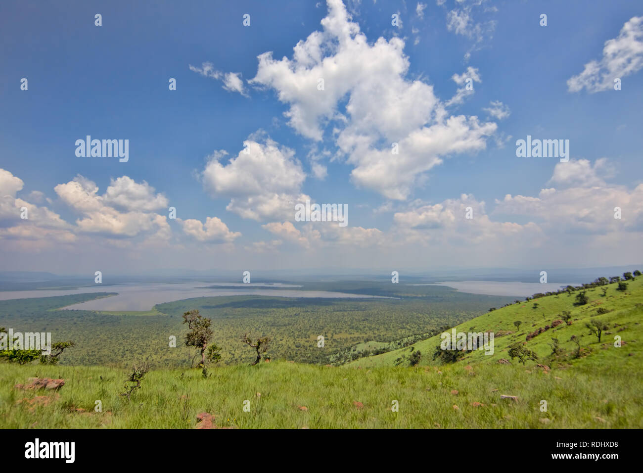 Akagera National Park, Parc National de l'Akagera, östlichen Provinz, Ruanda ist eine Wiederherstellung Conservation Area. Stockfoto