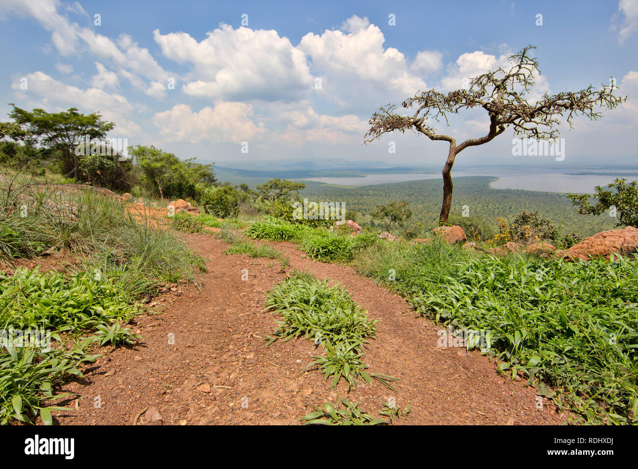 Akagera National Park, Parc National de l'Akagera, östlichen Provinz, Ruanda ist eine Wiederherstellung Conservation Area. Stockfoto