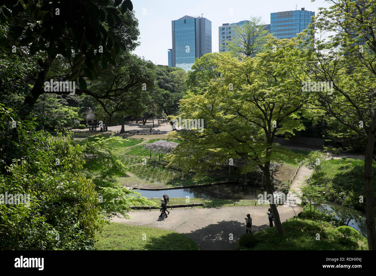 Japan, Insel Honshu, Tokio: Koishikawa-Korakuen Garten im Stadtteil Koishikawa *** Local Caption *** Stockfoto