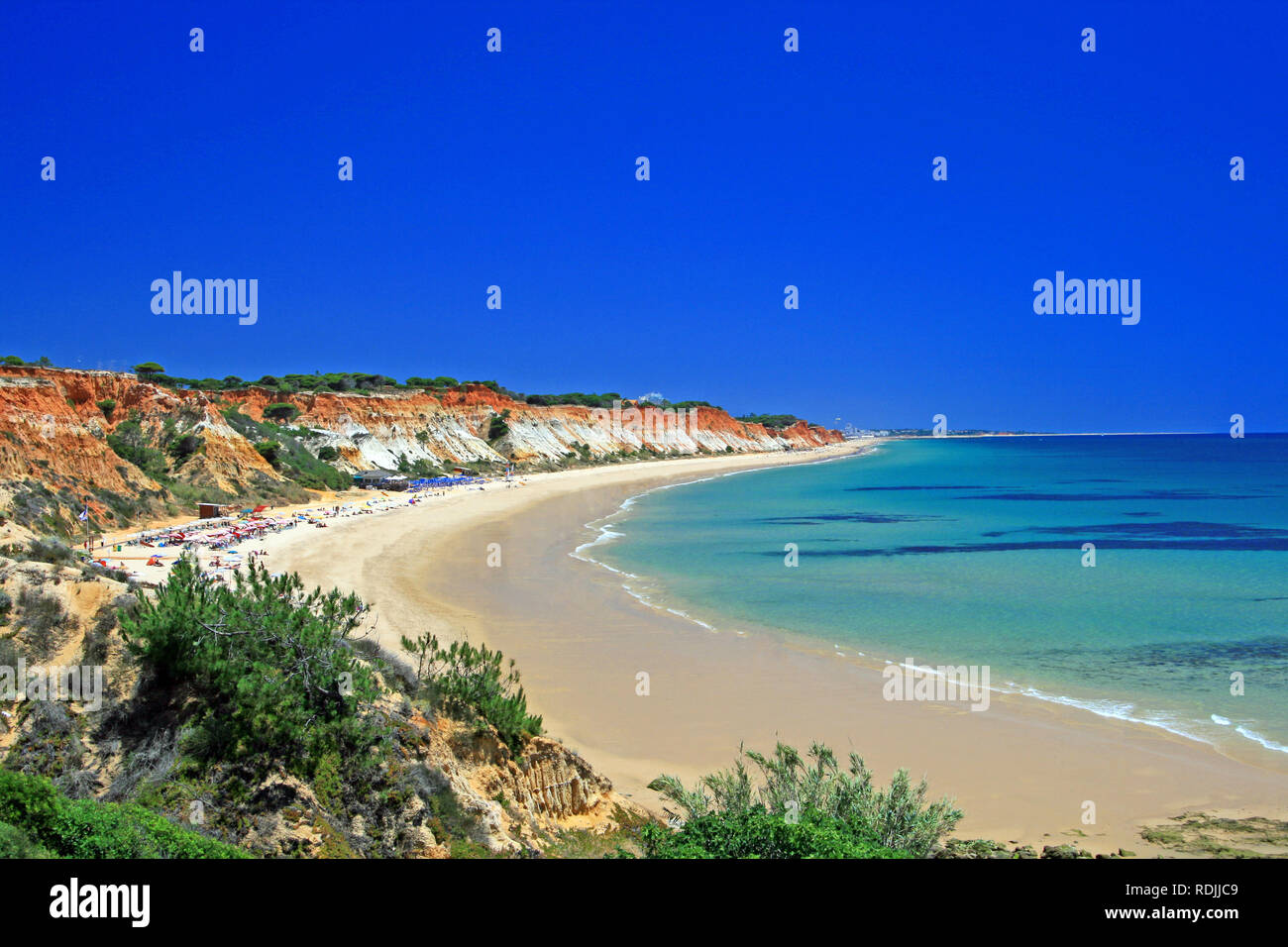 Schoner Blick Auf Praia Da Falesia Strand Mit Weissem Sand Und Turkisblauem Wasser An Der Algarve Portugal Stockfotografie Alamy