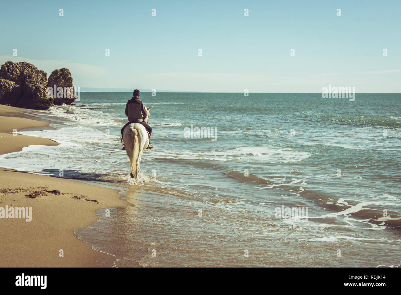 Junger Mann auf einem weißen Pferd Reiten am Strand Stockfoto
