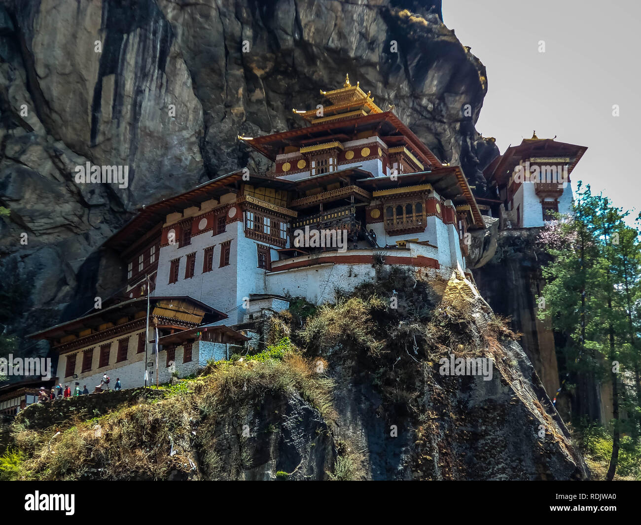 Blick auf Taktshang Kloster oder Tiger Nest auf dem Berg in Paro, Bhutan Stockfoto