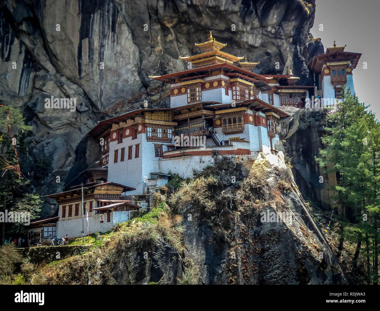 Blick auf Taktshang Kloster oder Tiger Nest auf dem Berg in Paro, Bhutan Stockfoto